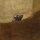 Pittura: il cane di Goya by S.Piantini